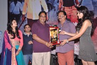 Chandi Platinum Disc Function